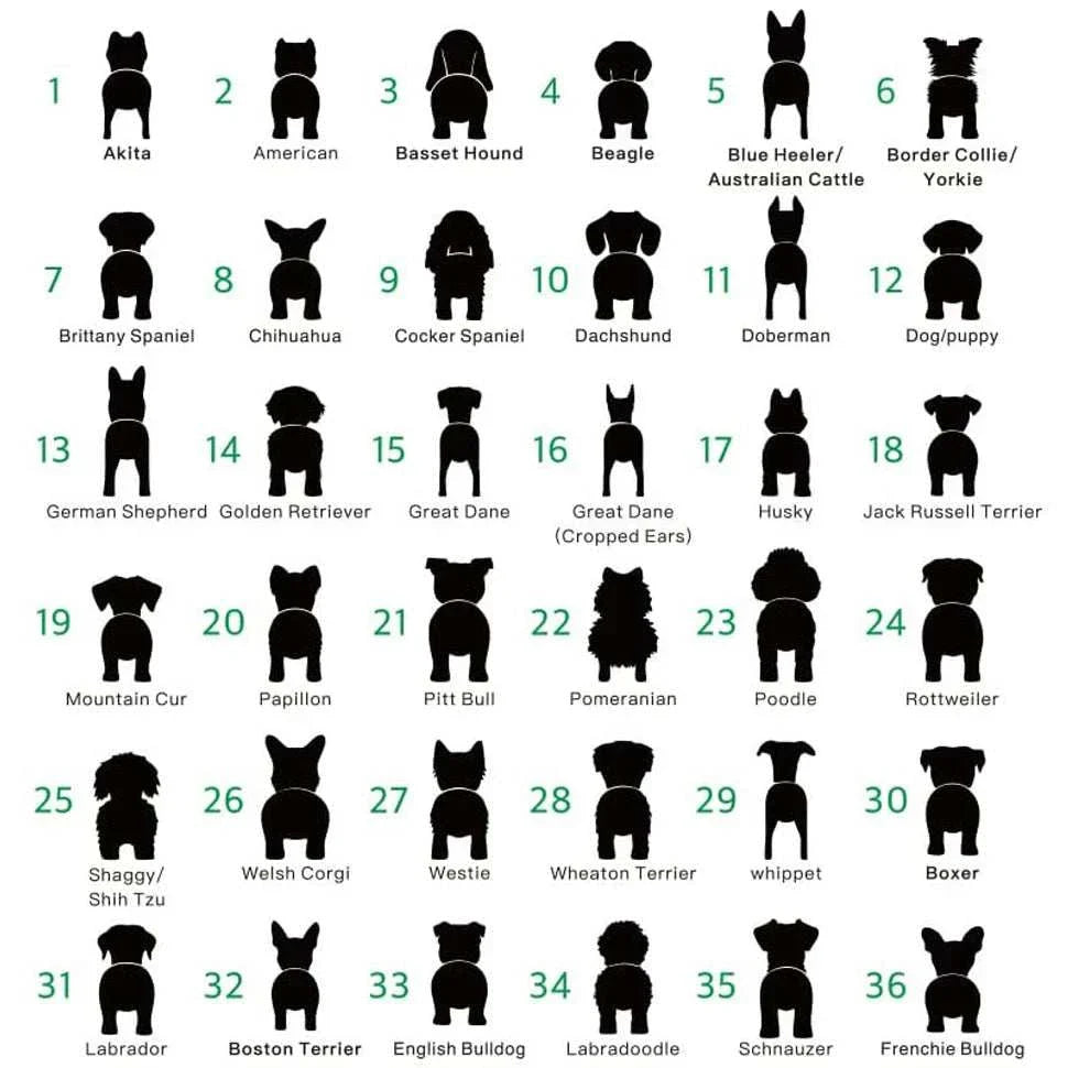 Personalised dog leash wooden wall hook with custom name engraving and metal hook for pet gear organization