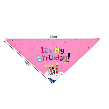 Birthday Hat and Bandanna for Dogs and Cats
