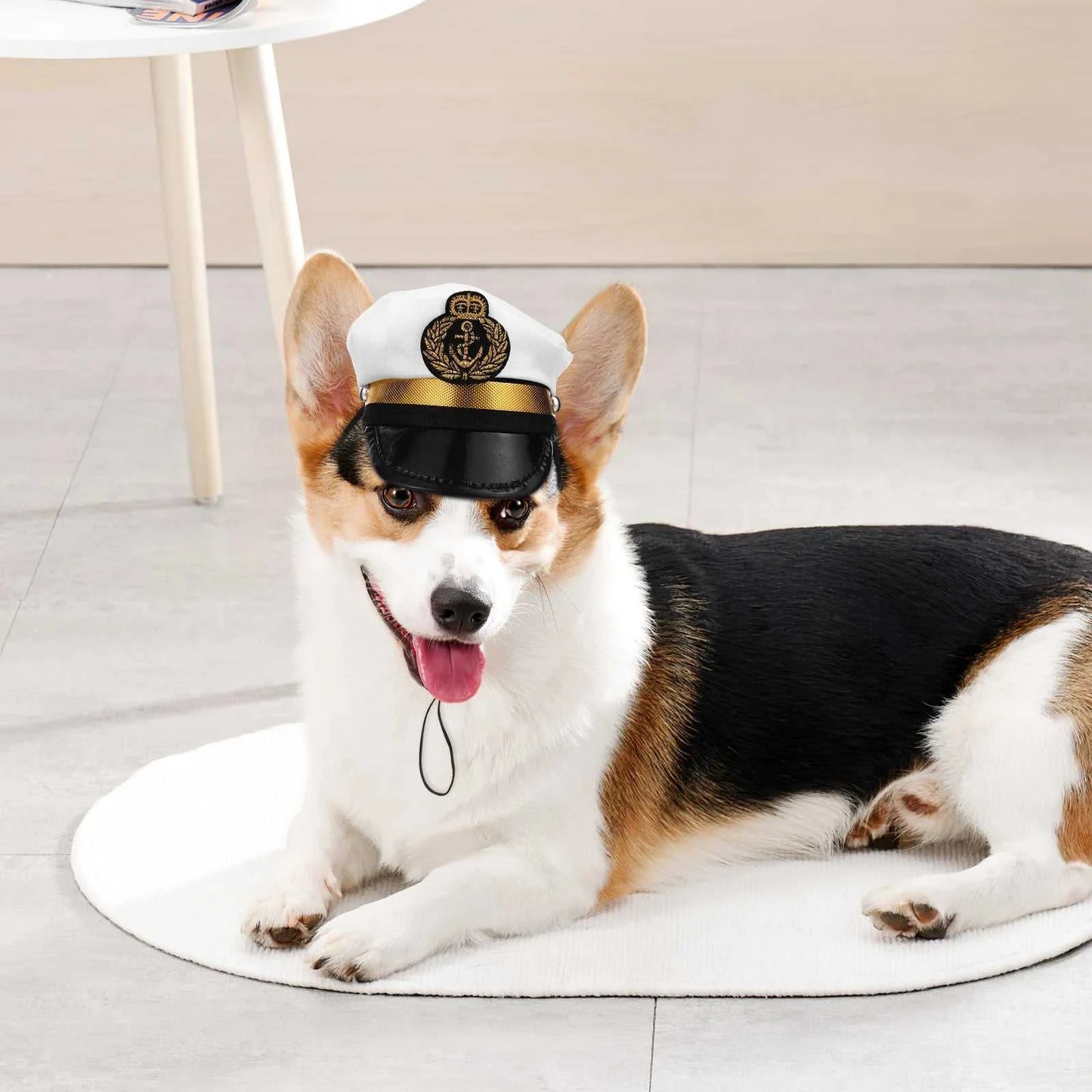 Captain Hat for Dogs and Cats