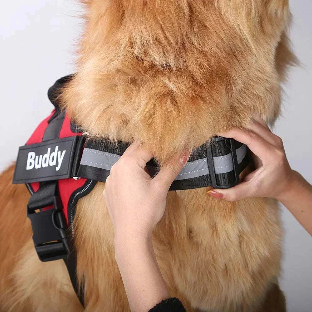 No-pull reflective dog harness being fitted on a golden retriever with personalized ID patch.