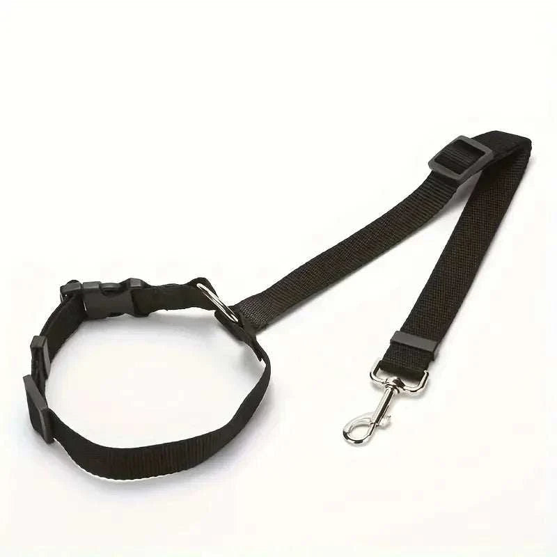 Single dog seat belt with adjustable headrest restraint for car safety.