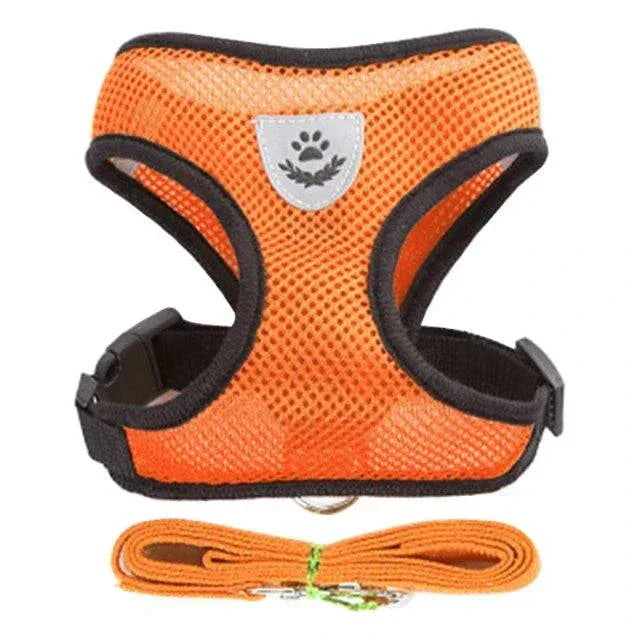 Adjustable cat harness and lead with reflective elements for small cats and dogs, breathable and durable design