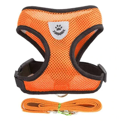 Adjustable orange harness for small pets with leash, soft and breathable design.