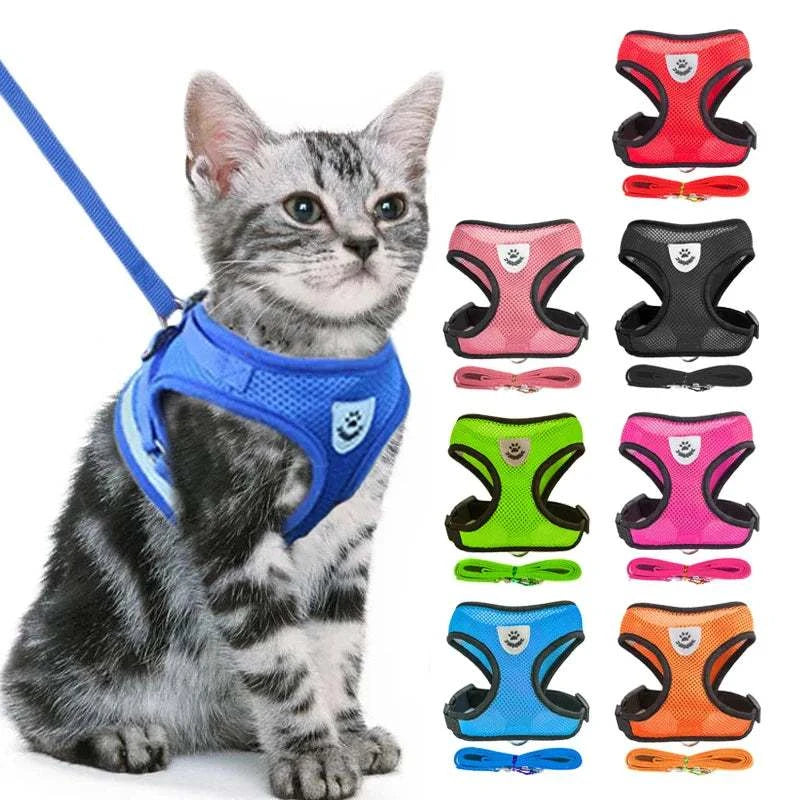 Adjustable soft breathable harness for cats in multiple colors with leash.