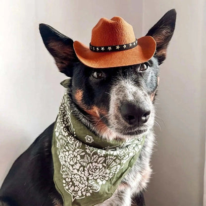 Cowboy Hat Cosplay for Cats and Small Dogs