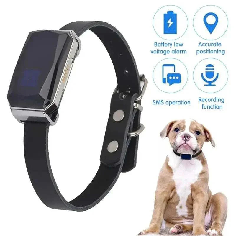 Mini waterproof GPS locator collar for pets with smart fence and real-time tracking.