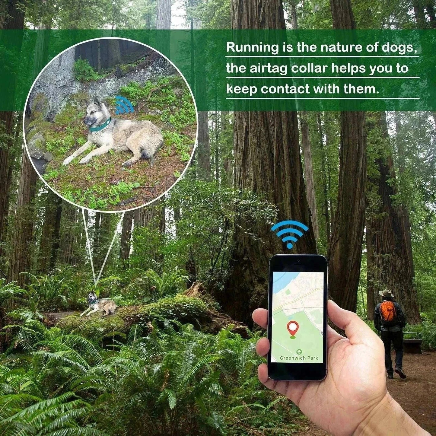 Air-Tag Reflective Collar for Dogs with waterproof nylon and secure AirTag holder in multiple colors