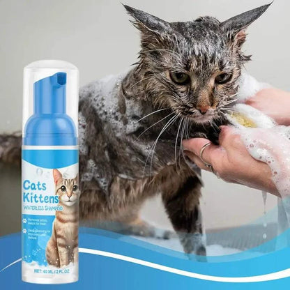 Cat with Foam Bath Using Dry Shampoo for Pets