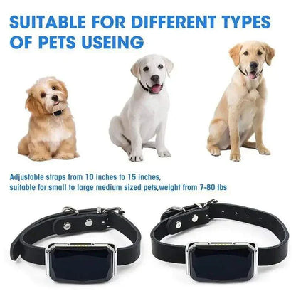 Pet GPS Locator Mini Waterproof GPS Dog Cat collar with adjustable straps, suitable for small to large pets, featuring three dogs wearing the collar.