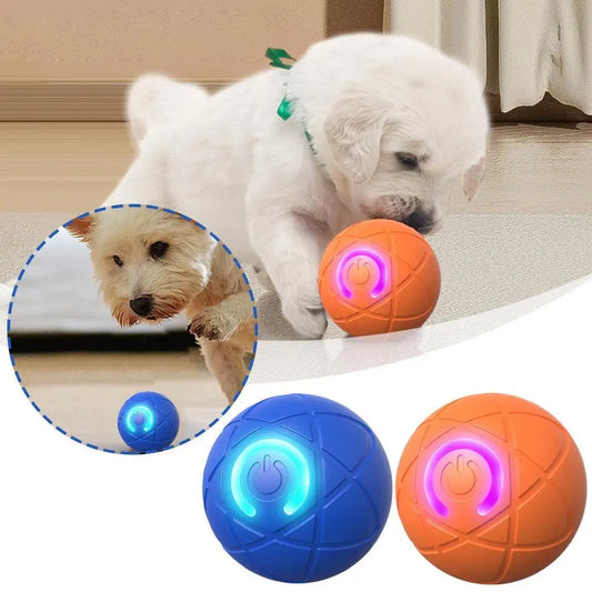 dogs bouncing ball