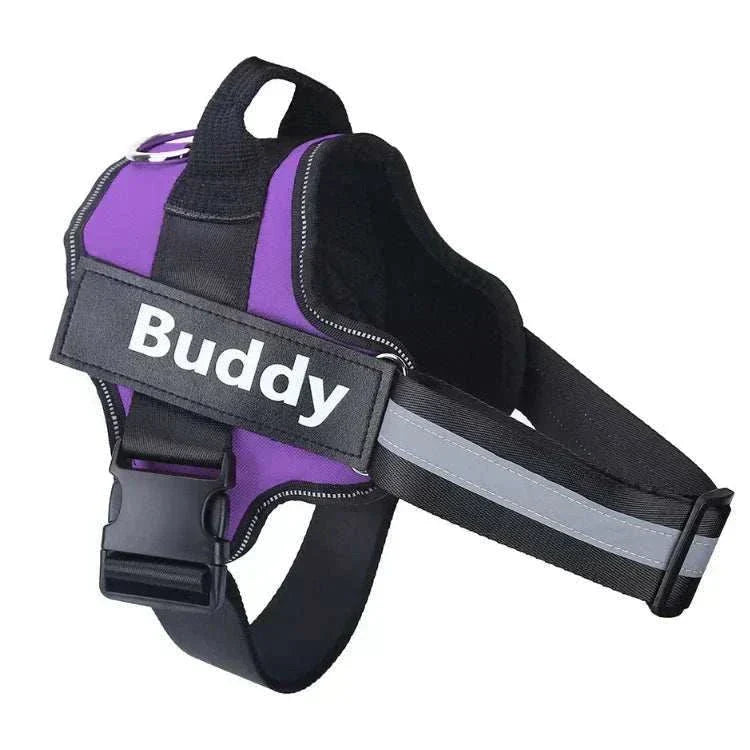 No-pull reflective dog harness with adjustable straps and custom ID patch.