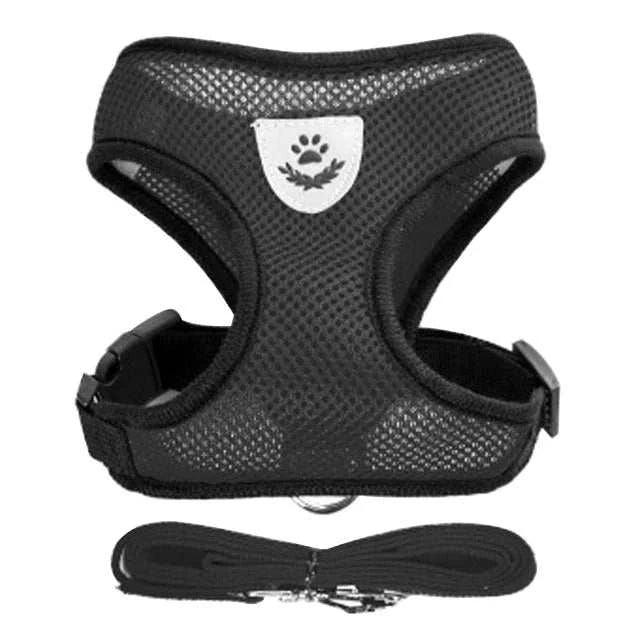 Adjustable harness for cat or small dog with leash, soft breathable design, black color.