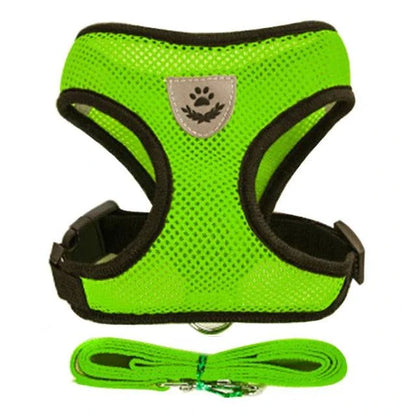 Adjustable harness for cat or small dog in green, with breathable fabric and reflective safety.