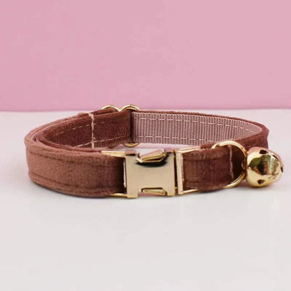 luxury velvet cat collar with bell and gold buckle on pink background