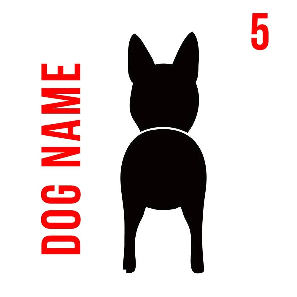 Personalised wooden dog leash rack with custom name engraving and metal hooks mounted on wall