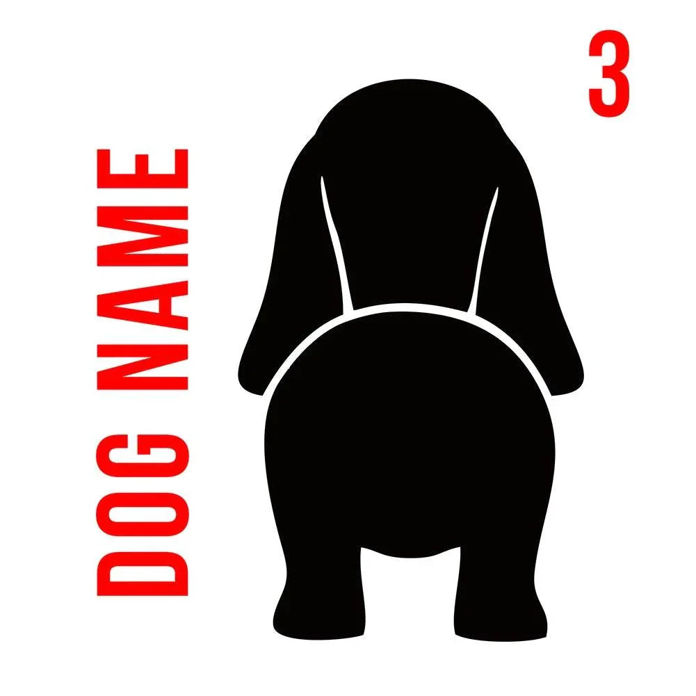 Personalised wooden dog leash rack with custom name engraving and metal hooks mounted on wall