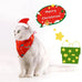 Christmas Bandanna and Hat Dress Up - 2pc