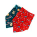 Christmas Bandanna and Hat Dress Up - 2pc