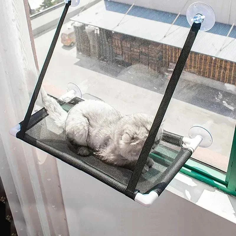 Cat enjoying a mesh window hammock with secure suction cups and 10kg capacity.