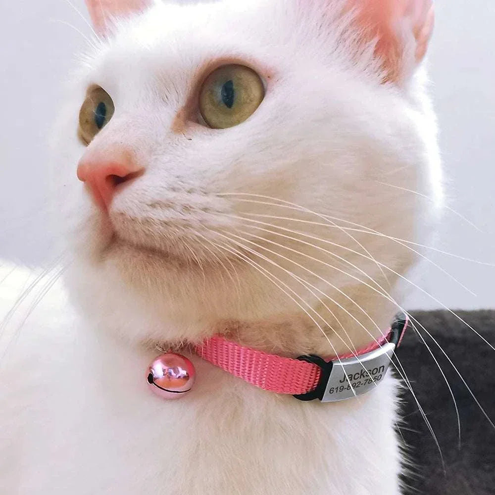 Personalised 1cm width cat collar with bell and breakaway design on white cat.