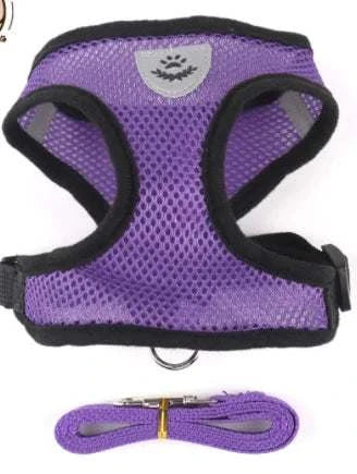 Adjustable harness and leash set for cats or small dogs in purple, featuring soft, breathable mesh design.