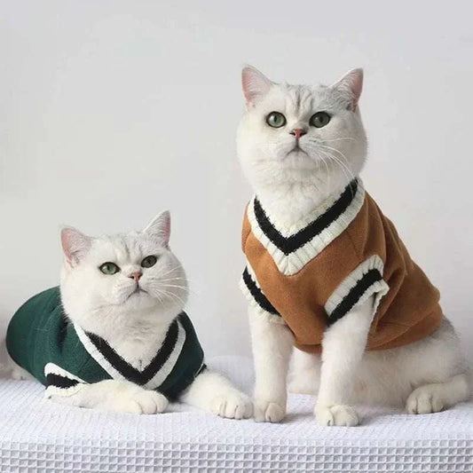 Cats wearing fashionable varsity sweaters for pets, perfect for style and warmth.