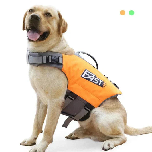 Golden retriever wearing an orange reflective dog safety swim vest with adjustable straps and grab handle