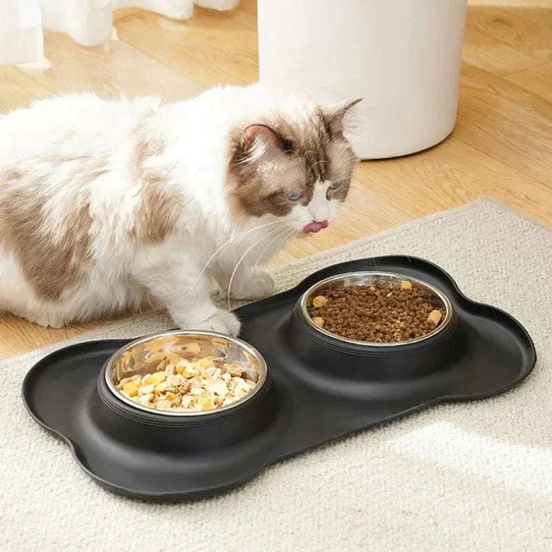 Anti-splash Double Food Bowls with silicone mat for cats and dogs, preventing spills and mess.