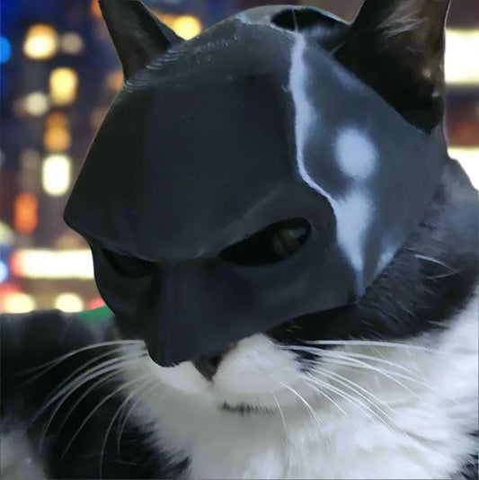 Batman mask cosplay for cats, superhero pet costume.