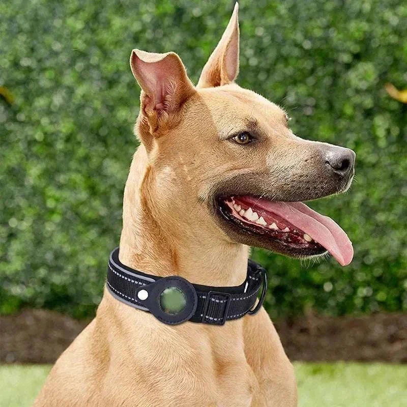 Air-Tag Reflective Collar for Dogs with waterproof, adjustable fit and secure AirTag holder