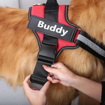 Personalised no-pull reflective dog harness on a dog with adjustable straps and ID patch.