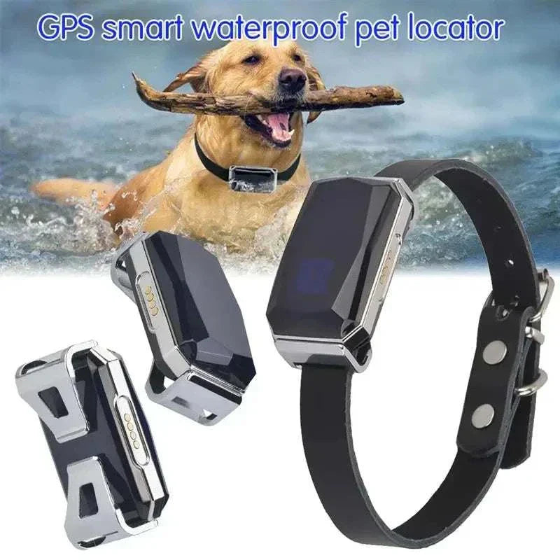 Waterproof GPS dog collar with real-time tracking and smart fence feature.