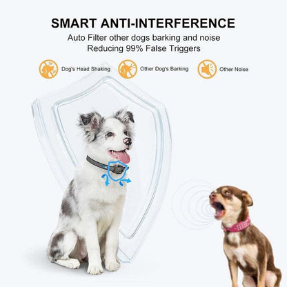 Mini Anti-Barking Collar on small dog with smart anti-interference technology to reduce false triggers from other dogs and noise.