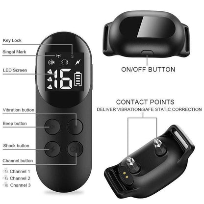 T200 Remote Training Collar with waterproof dog collar and remote control showing vibration, beep, shock buttons and LED display