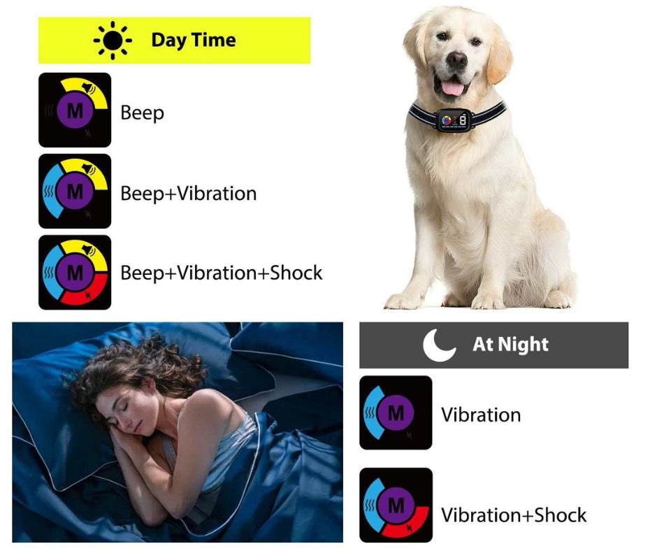 Automatic anti-bark dog collar on golden retriever with day and night mode icons and sleeping woman illustration