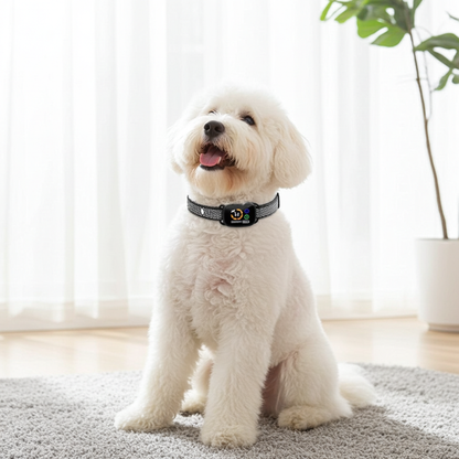 Mini anti-barking no-shock dog collar for small to medium dogs using sound and vibration