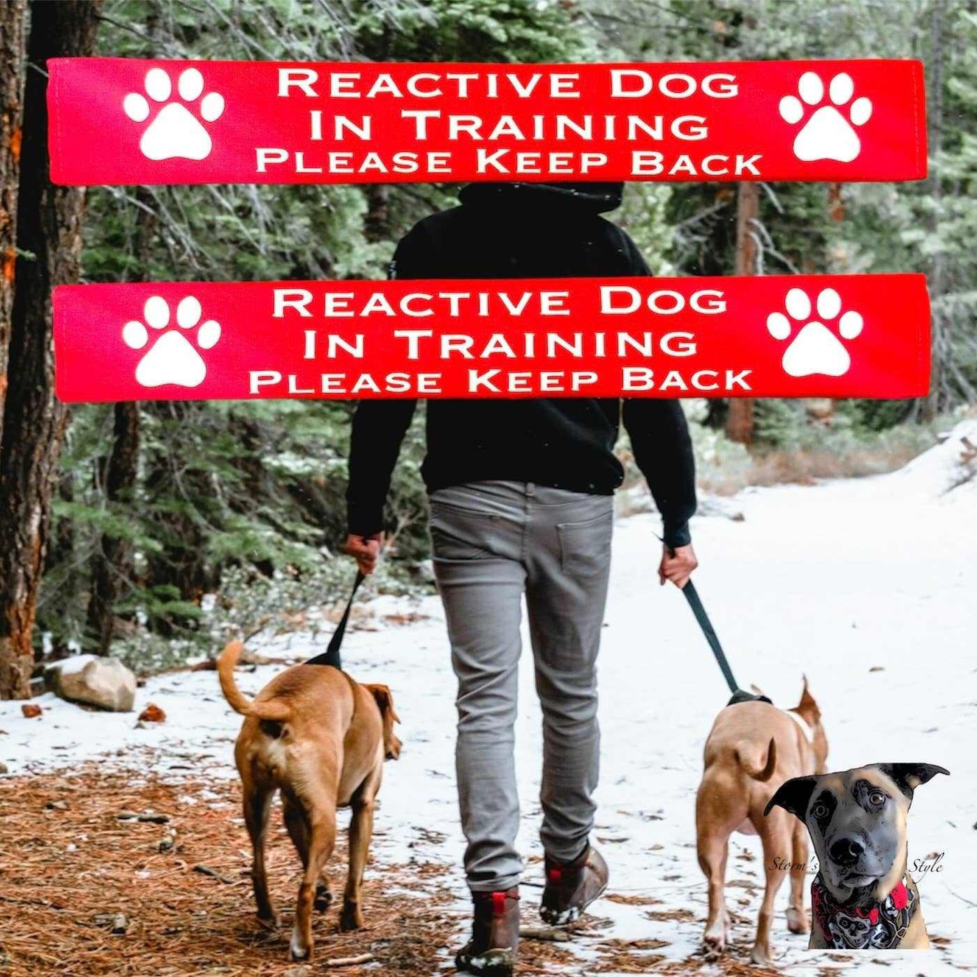 Person walking two dogs in forest wearing red reflective lead slips saying "Reactive Dog In Training Please Keep Back"
