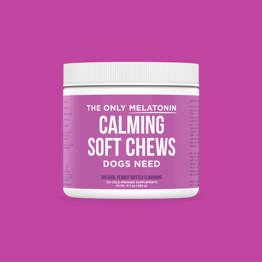 Melatonin calming soft chews for dogs in a labeled jar against a purple background.