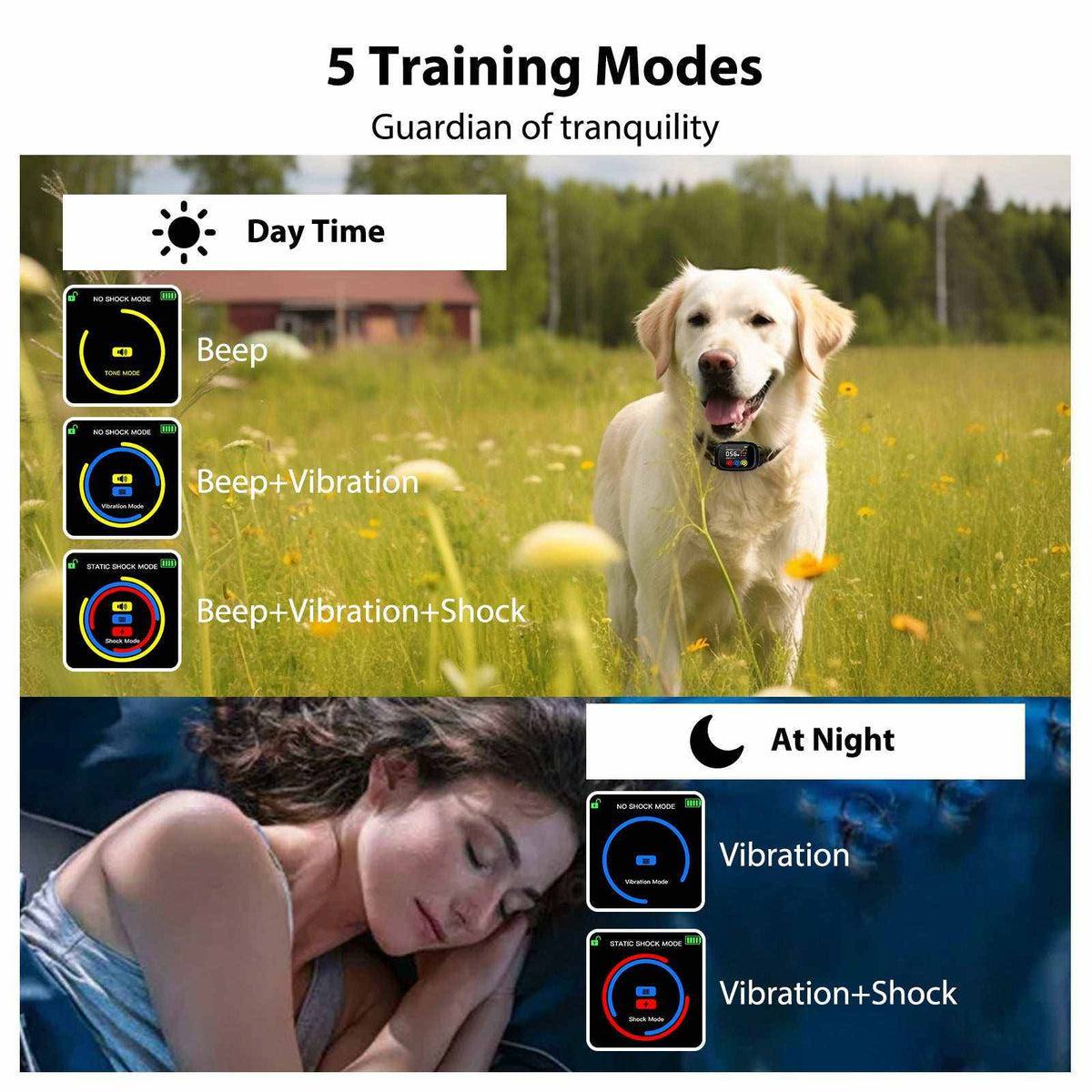Automatic bark control collar shown on a white dog, with day and night training modes for beep, vibration and shock.