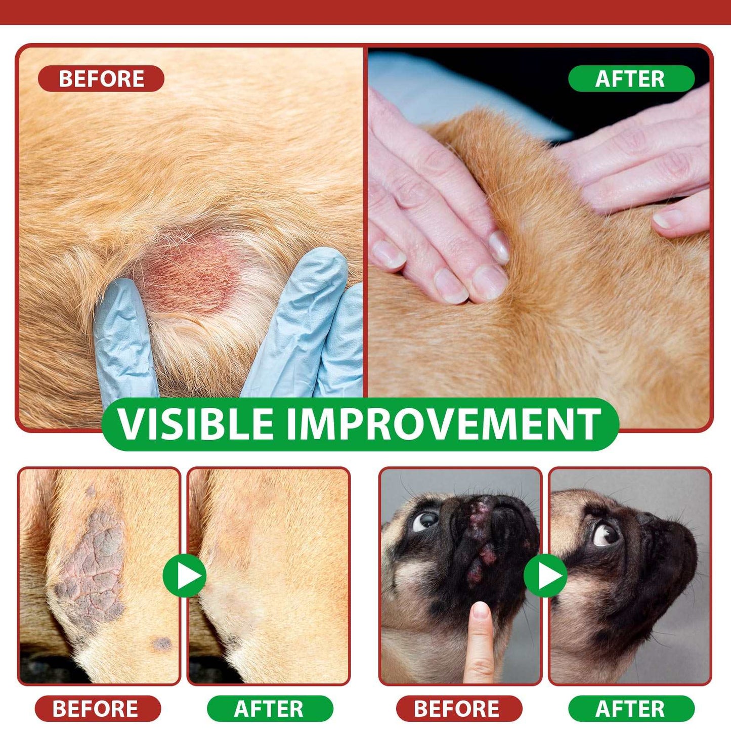 Before and after images showing Oimmal Hot Spot Relief Spray healing dog hot spots and irritated skin with visible improvement