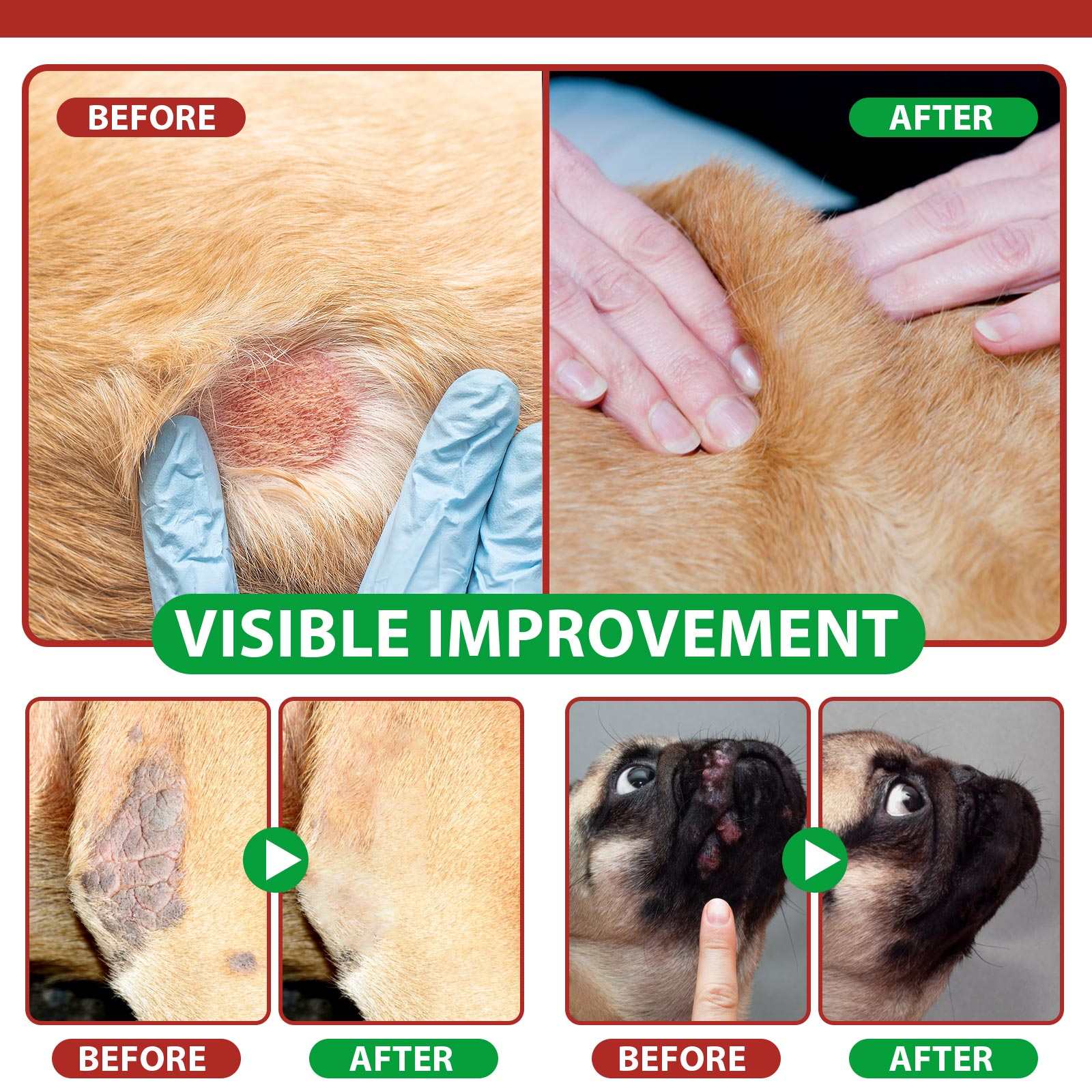 Before and after images showing Oimmal Hot Spot Relief Spray healing dog hot spots and irritated skin with visible improvement