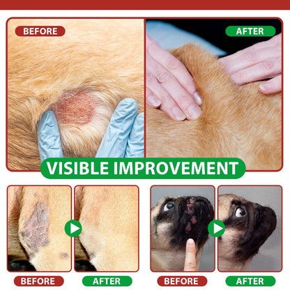 Before and after images showing Oimmal Hot Spot Relief Spray healing dog hot spots and irritated skin with visible improvement