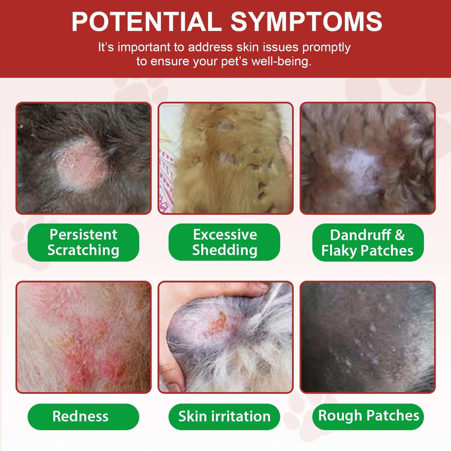Close-up images of cat skin showing hot spots, redness, irritation, scratching, shedding, dandruff, and rough patches indicating symptoms treated by Oimmal Hot Spot Relief Spray