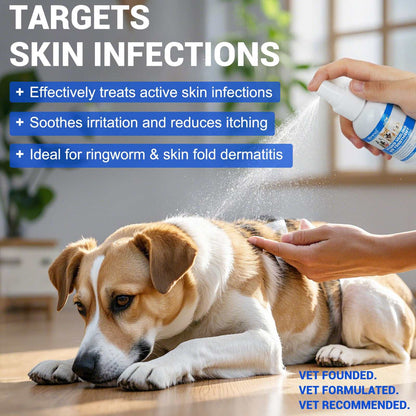 Oimmal antimicrobial hydrogel spray providing dog wound care by treating skin infections and soothing irritation