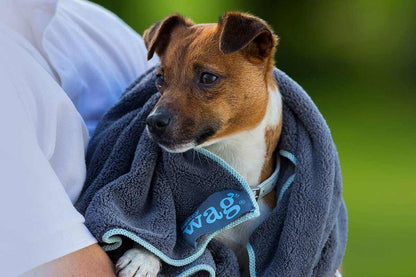 Dog wrapped in Henry Wag Pet Microfibre Towel, highlighting its absorbent and soft qualities.