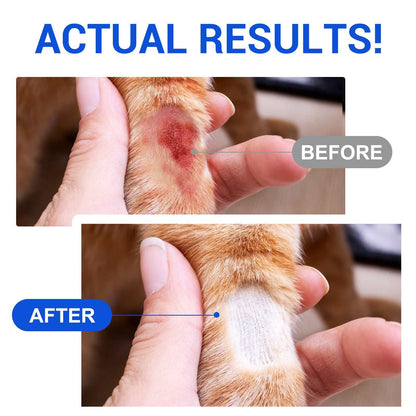 Oimmal Cat Wound Healing Aid antimicrobial hydrogel spray showing before and after healing on cat's paw wound