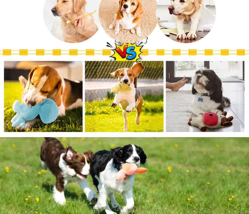 Crinkle & Squeak Dog Toys shown as plush toys in dogs’ mouths during play, including blue and pink designs.