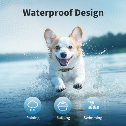 Tiny anti-barking beep and vibrate no-shock collar for small dogs, adjustable sensitivity, USB rechargeable