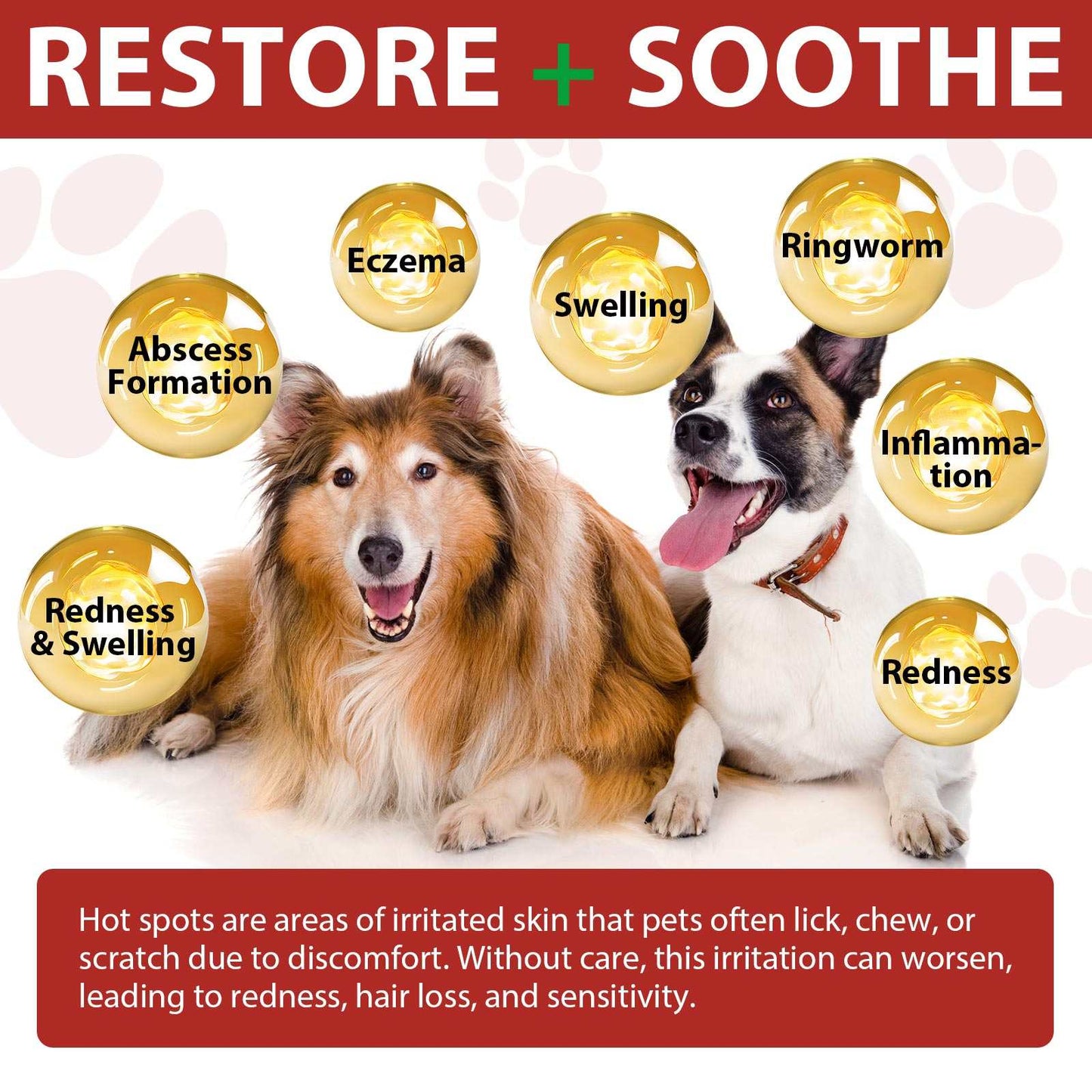 Oimmal Hot Spot Relief Spray for Dogs with Aloe Vera and Quantum Silver soothes and restores irritated dog skin conditions like eczema, swelling, redness, and inflammation.