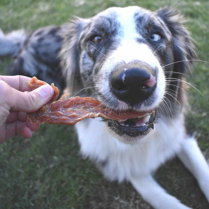 Lulu's Kitchen - Roast Chicken Dinner - Chicken Breast Jerky - Dog Treat